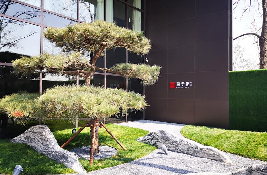 信达国子郡实景图